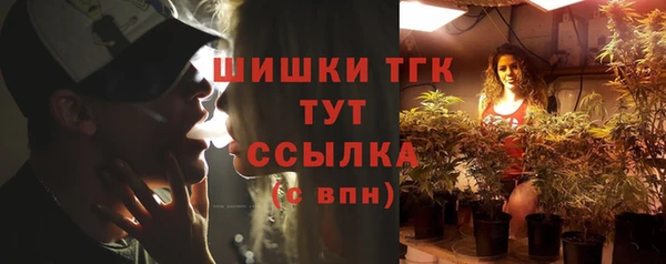 соль ск Вязьма