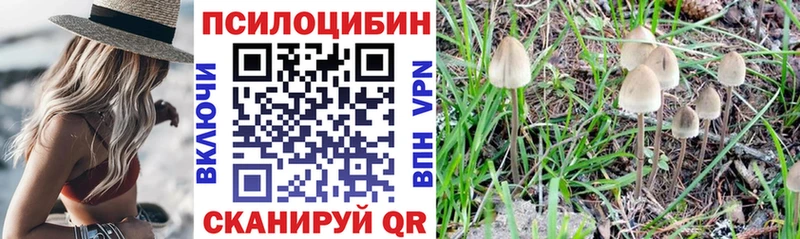 кракен как зайти  Армавир  Псилоцибиновые грибы прущие грибы  дарнет шоп 